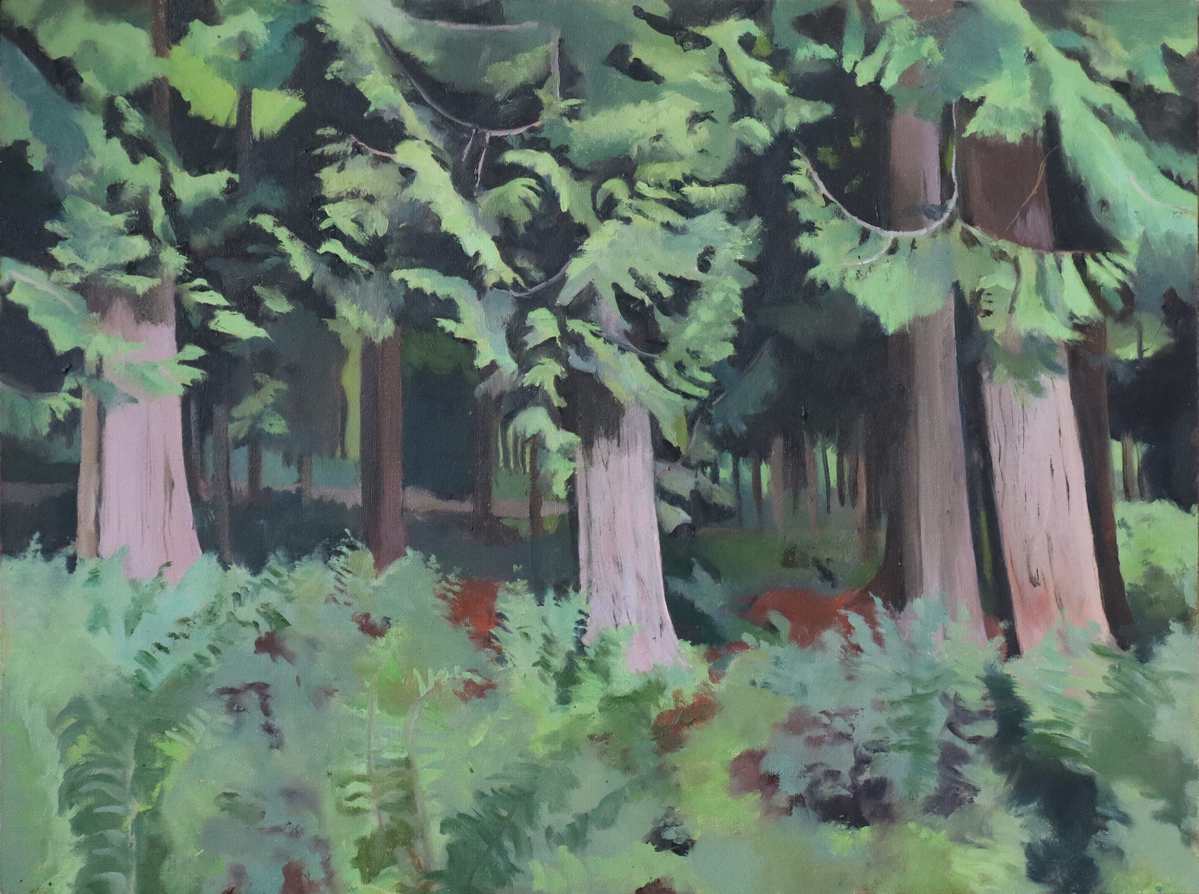 Bracken_Beneath_Three_Firs