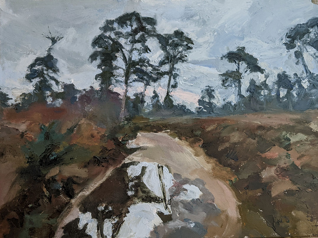 Blackdown_Puddle