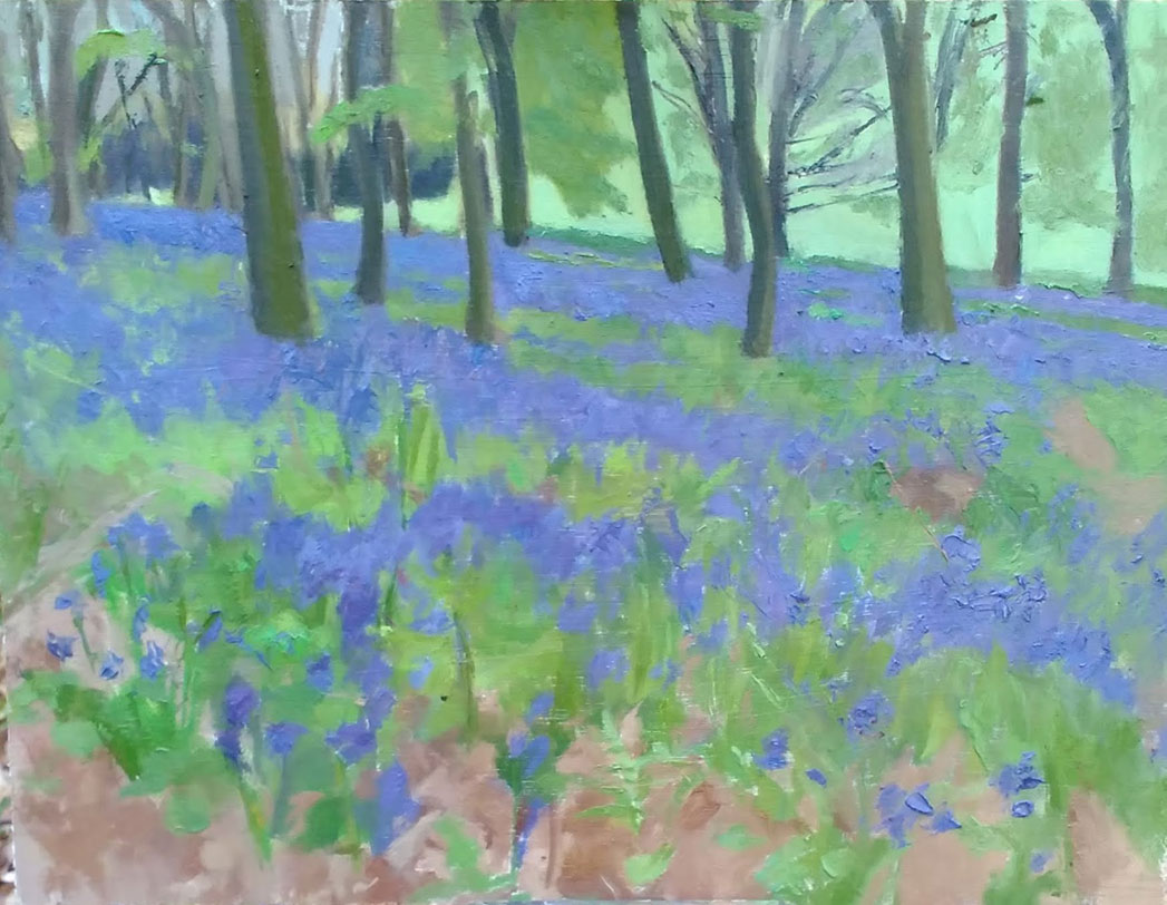 Bluebell_Wood