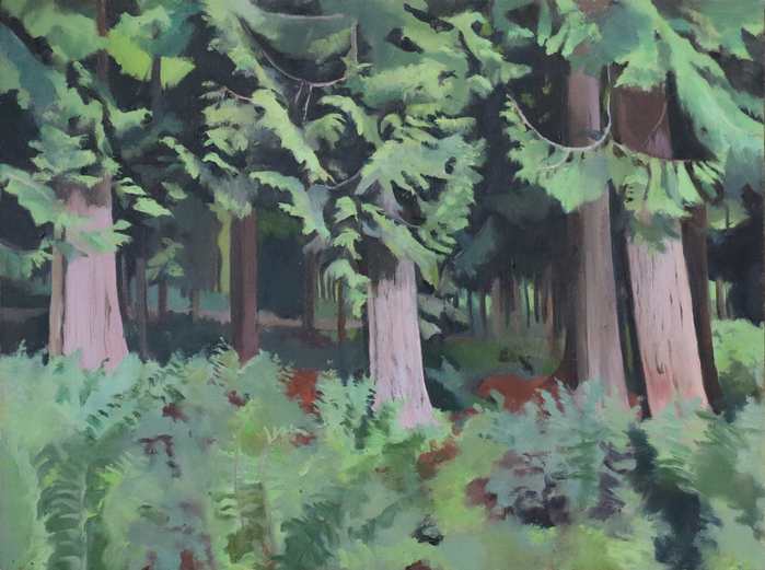 Bracken_Beneath_Three_Firs