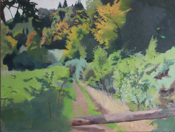 Sunlit_Autumn_Path