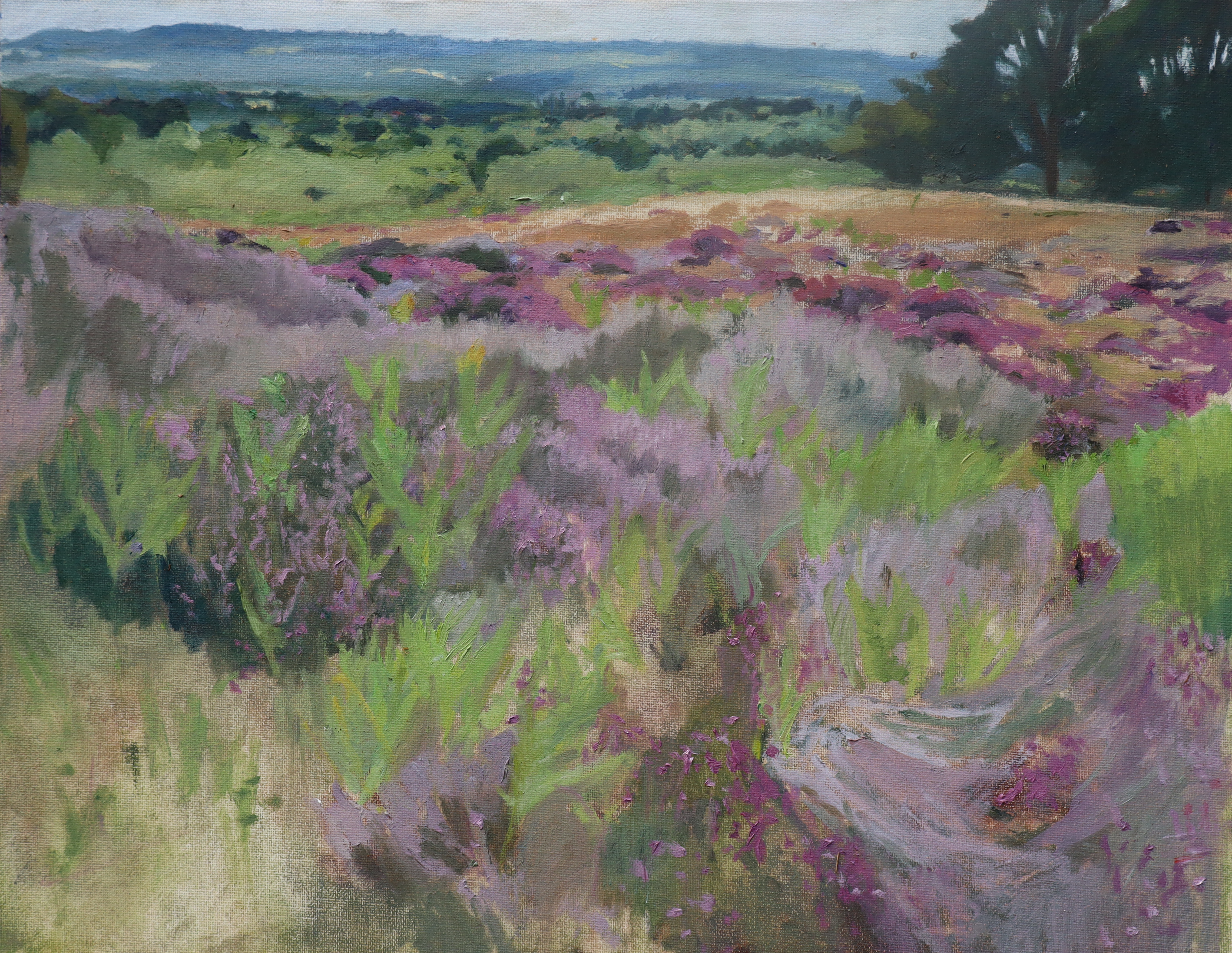 View_at_Puttenham_Over_the_Heather